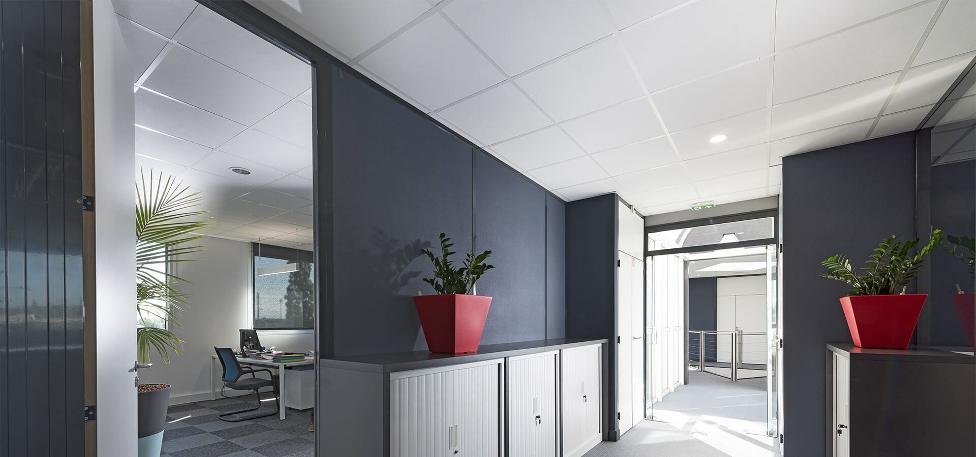 Couloir de bureau avec murs gris, plafond blanc, plantes dans des pots rouges et portes ouvertes.