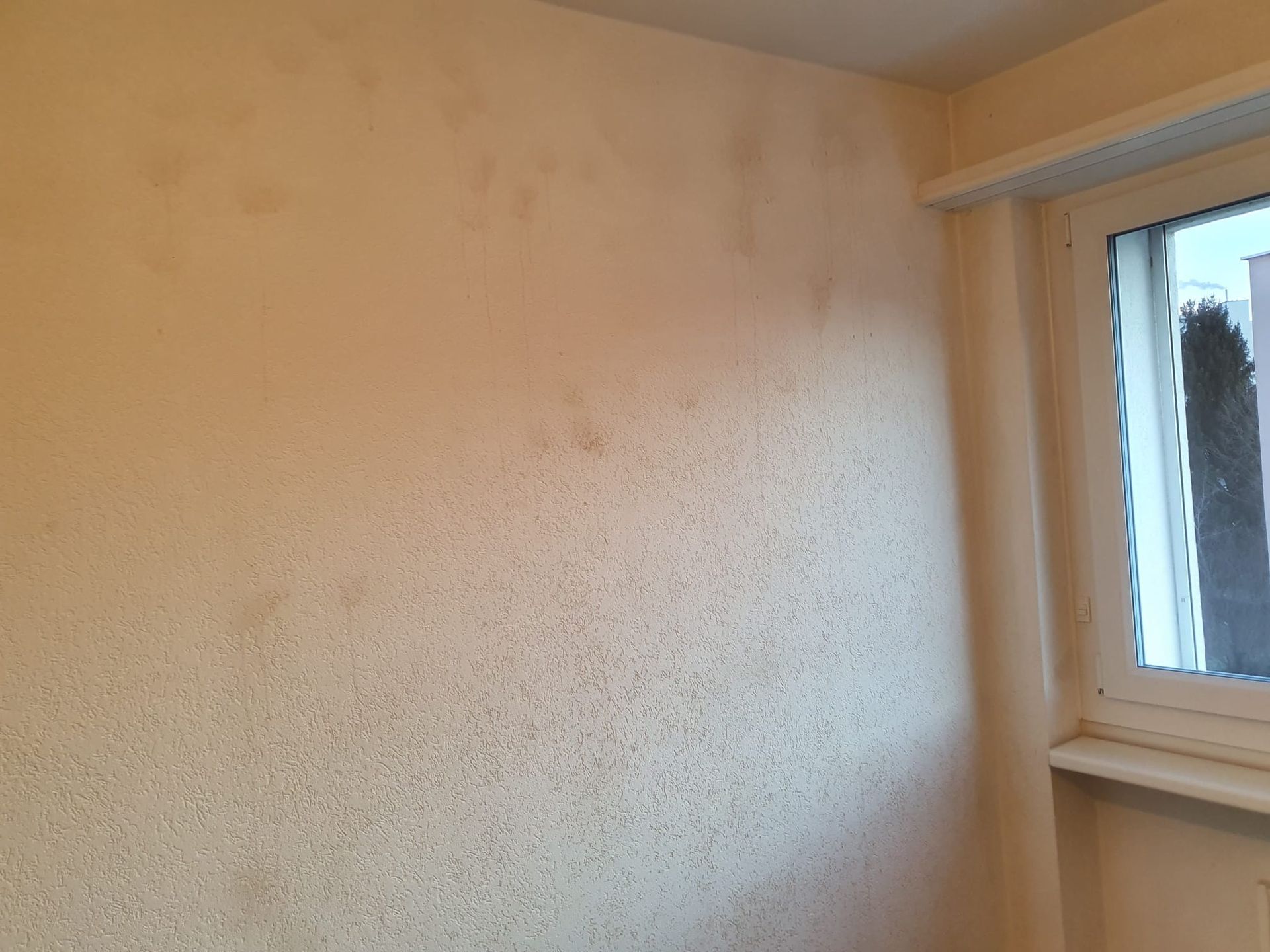 Beige Innenwand mit Wasserflecken in der Nähe eines Fensters.