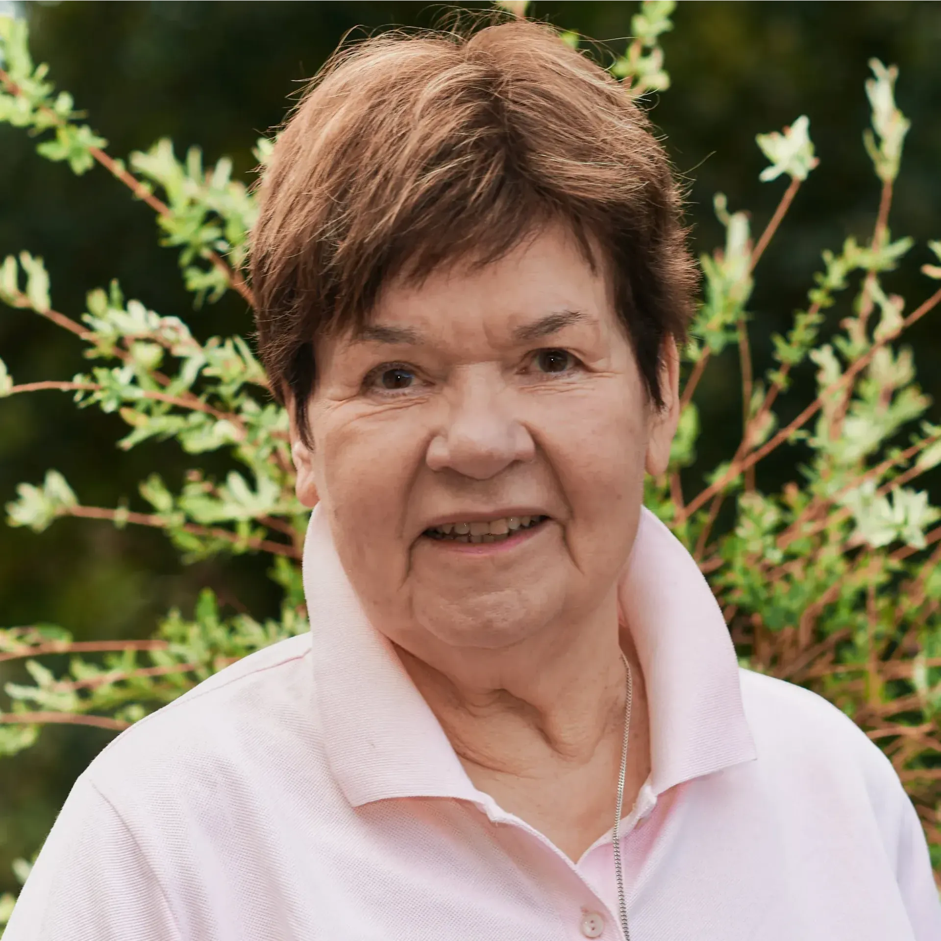 Rolli Mobil & Service