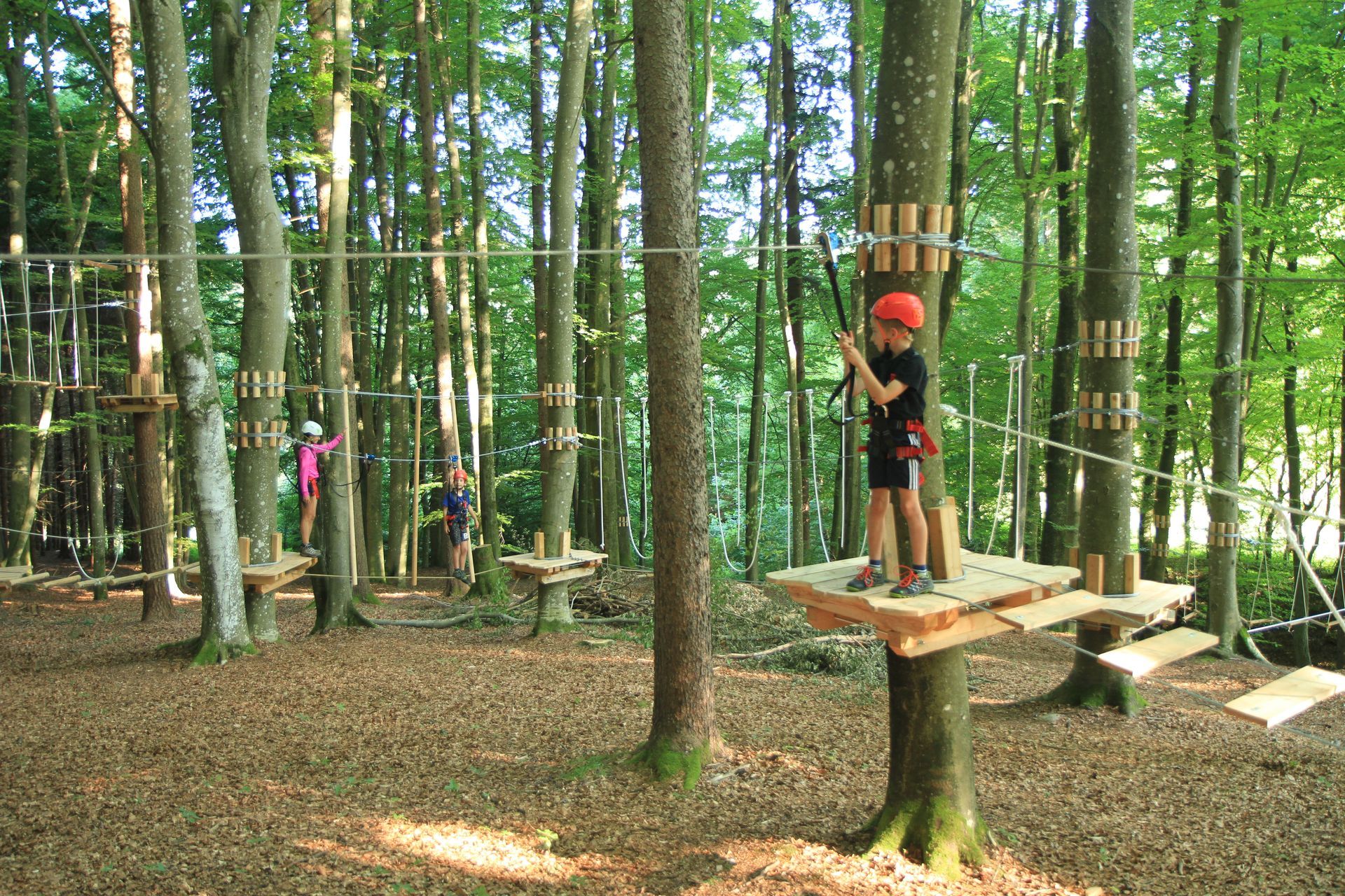 Kinderwald Ludmannsdorf, Nieder- und Hochseilgarten