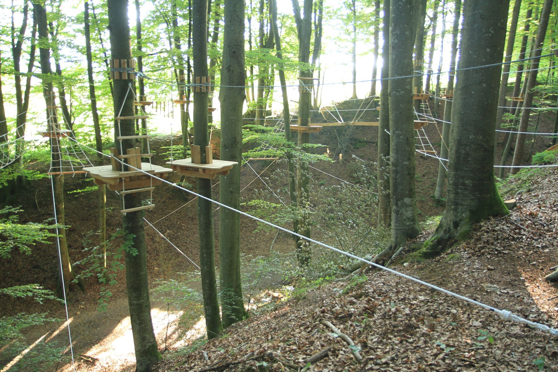 Kinderwald Ludmannsdorf, Nieder- und Hochseilgarten