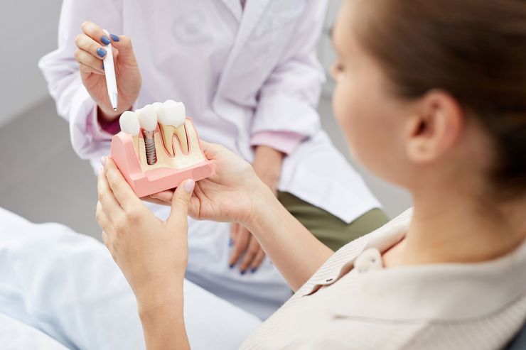 Un dentiste montre à un patient un modèle de prothèse fixe lors d'une consultation.
