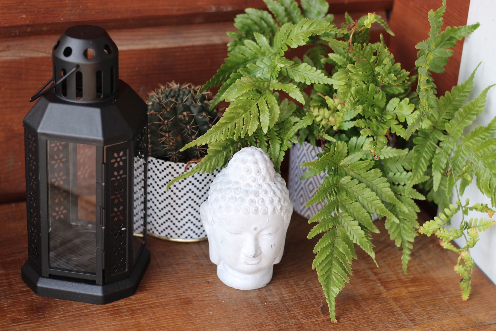 Lanterne noire, fougère en pot et tête de Bouddha blanche décorative sur une étagère en bois.