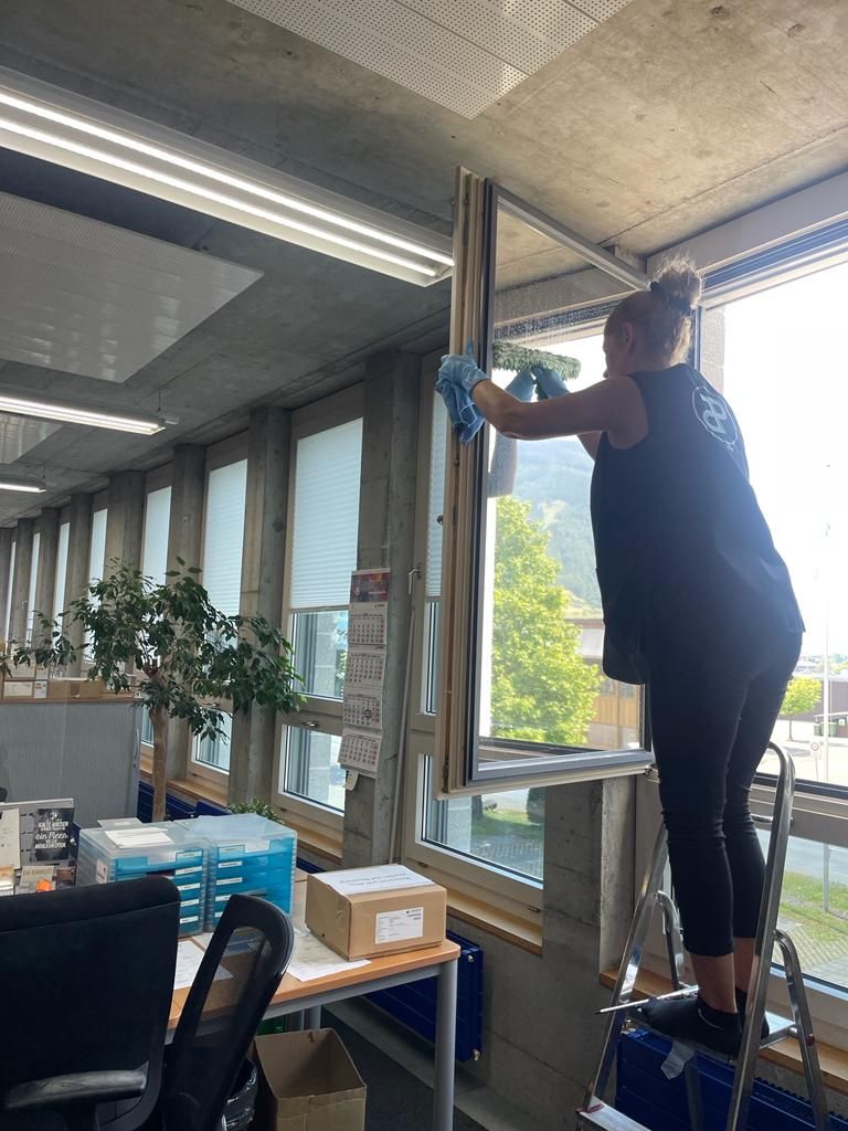 Fensterreinigung