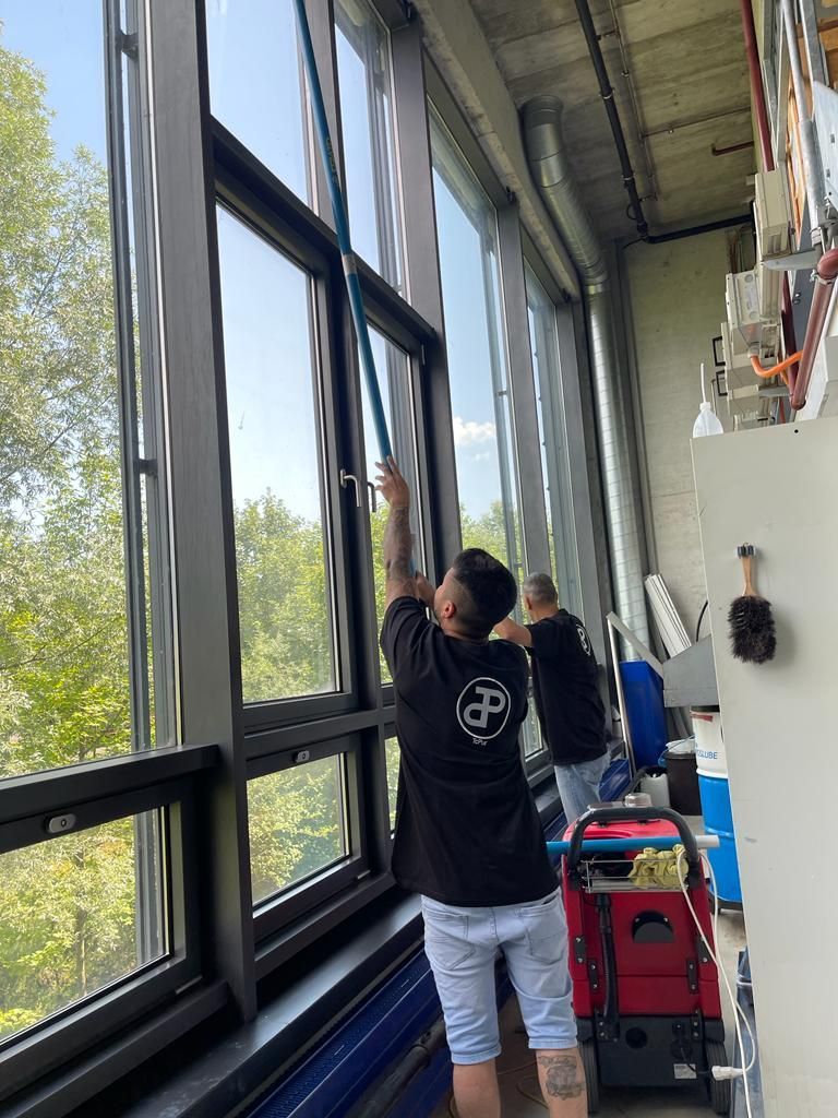 Fensterreinigung