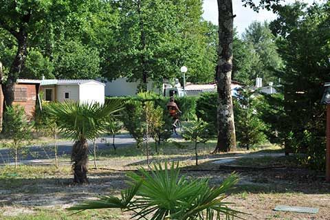 Parc du camping