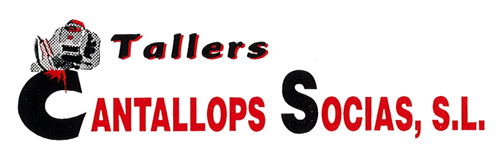 logotipo footer