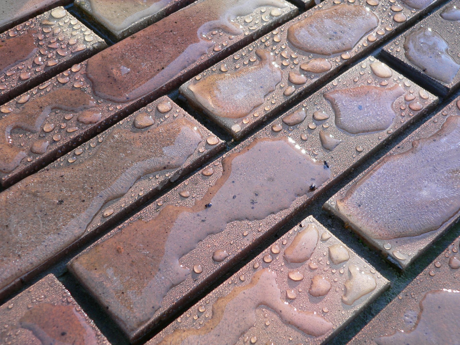 Gros plan sur des briques brunes rectangulaires, humides et disposées selon un motif, recouvertes de gouttelettes d'eau de pluie.
