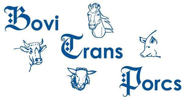 Logo Transports LELANDAIS