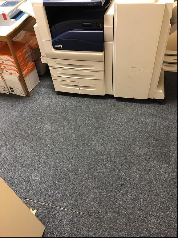 Nettoyage moquette suite à un dégât des eaux après