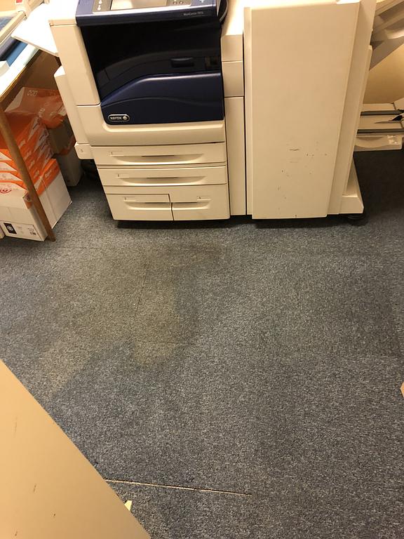 Nettoyage moquette suite à un dégât des eaux avant