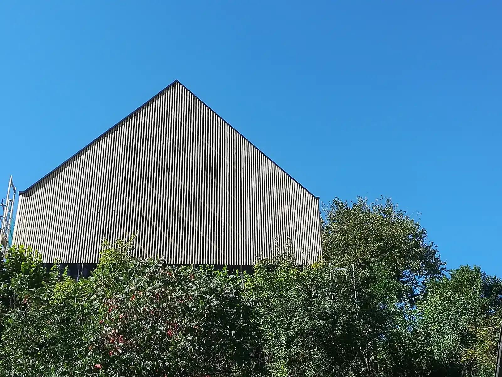 Gestreiftes Gebäudedach über grünen Bäumen unter klarem, blauem Himmel