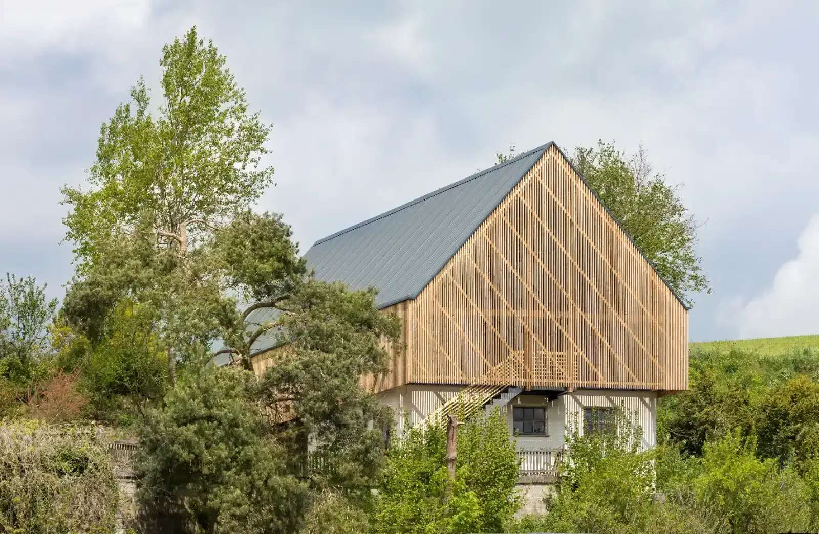 Modernes Haus mit dunklem Metalldach und Holzfassade hinter Bäumen und Sträuchern unter einem bewölkten Himmel