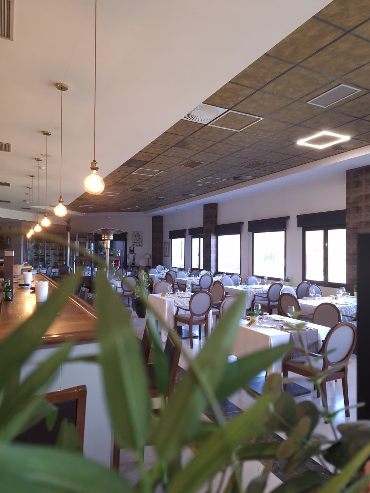 Interior de un restaurante con filas de mesas, sillas y lámparas colgantes, visto a través de plantas de interior.
