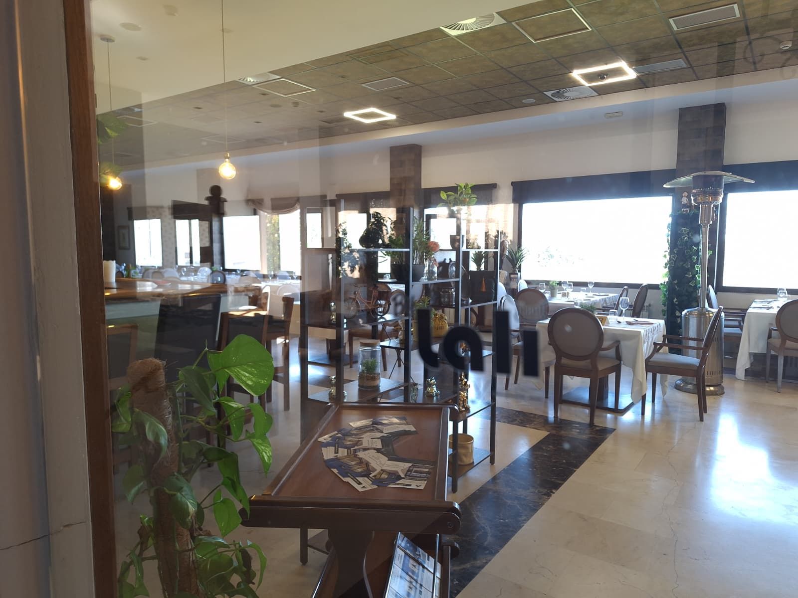 Se puede ver a través de una puerta de cristal un restaurante luminoso y vacío con mesas, sillas, suelo de baldosas y una planta alta en maceta.