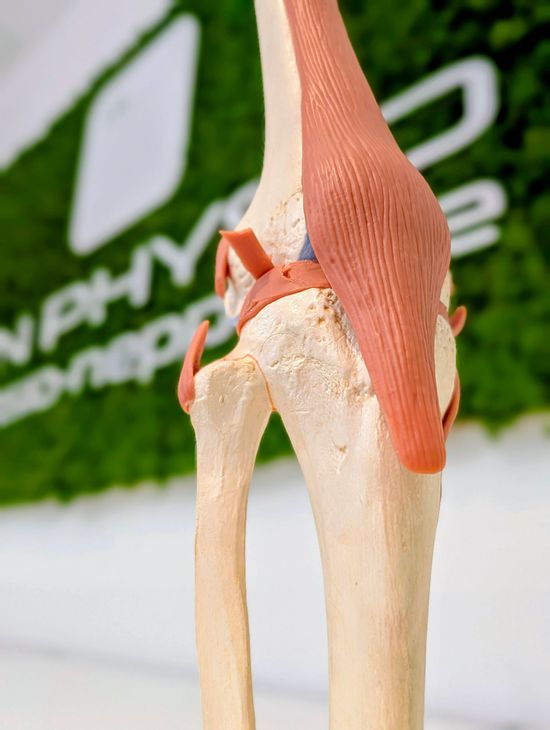 Empfang Physiotherapie Neppel
