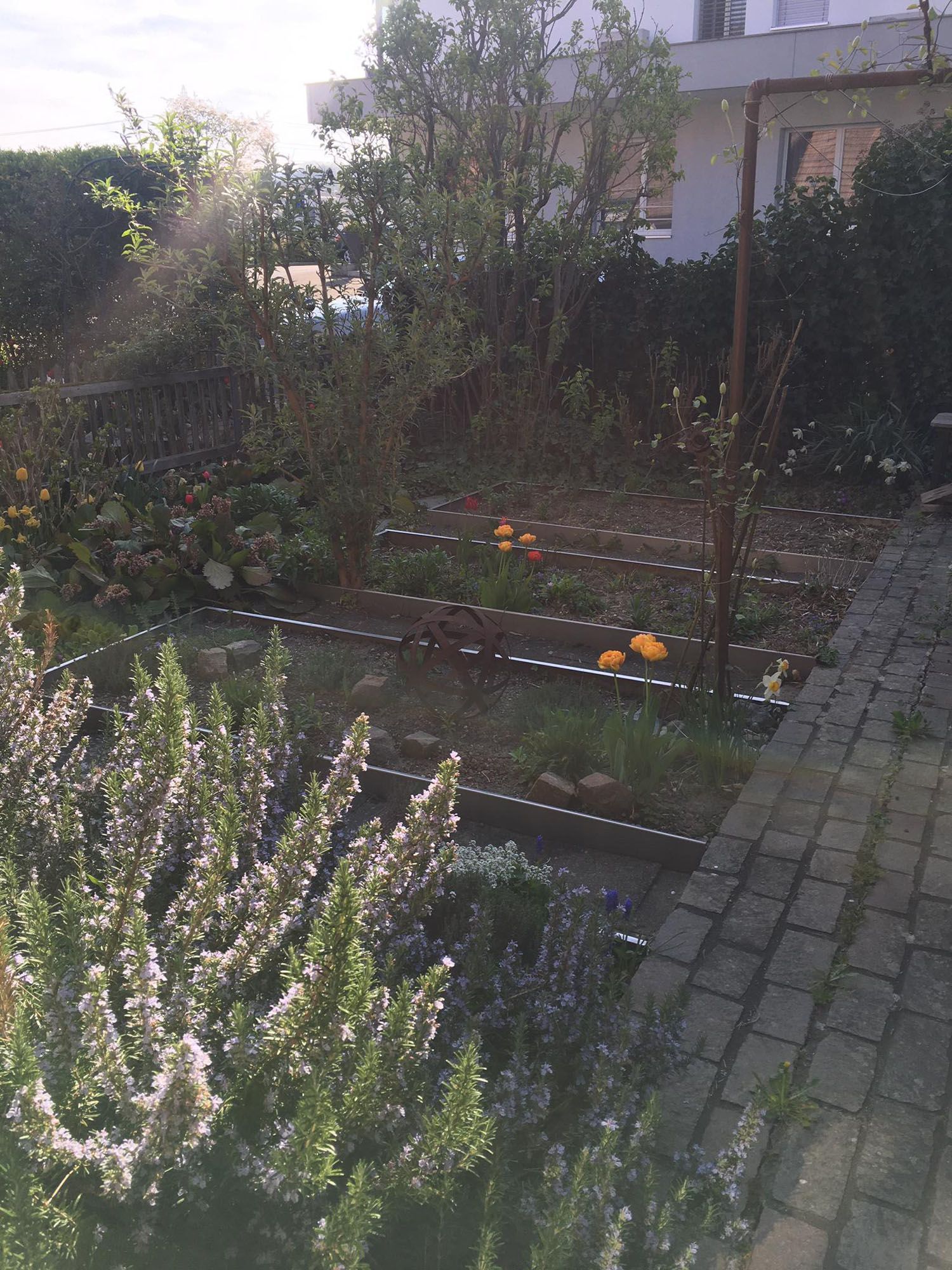 Terasse und Steingarten - Stebler Umbau & Renovation in Busswil BE