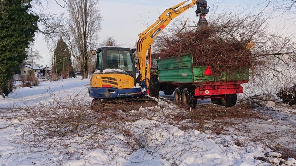 Ein gelber Bagger lädt Äste auf einen grünen Anhänger. Foto von der Sonderegger Gartenbau GmbH