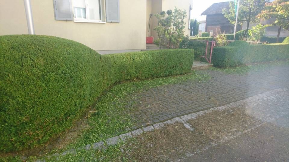 Vor einem Haus wird eine Hecke geschnitten.