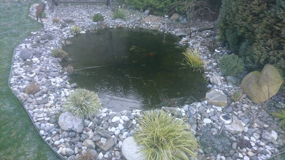 Ein von Felsen und Pflanzen umgebener Teich in einem Garten.