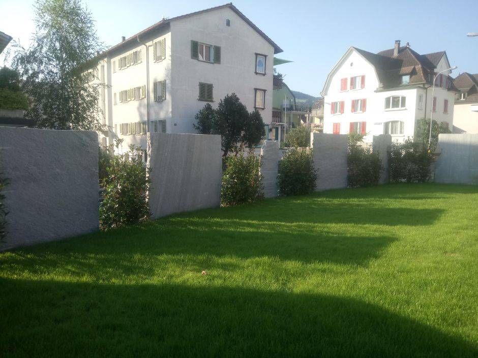 Ein üppiges grünes Feld mit weissen Gebäuden im Hintergrund. Foto von der Sonderegger Gartenbau GmbH