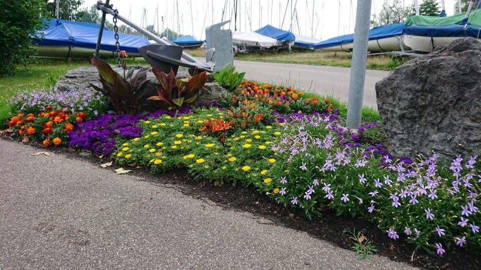 Eine Reihe bunter Blumen am Strassenrand. Foto von der Sonderegger Gartenbau GmbH