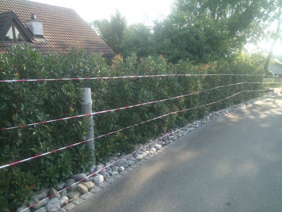 Ein Zaun ist von Büschen und Felsen umgeben, im Hintergrund ist ein Haus zu sehen