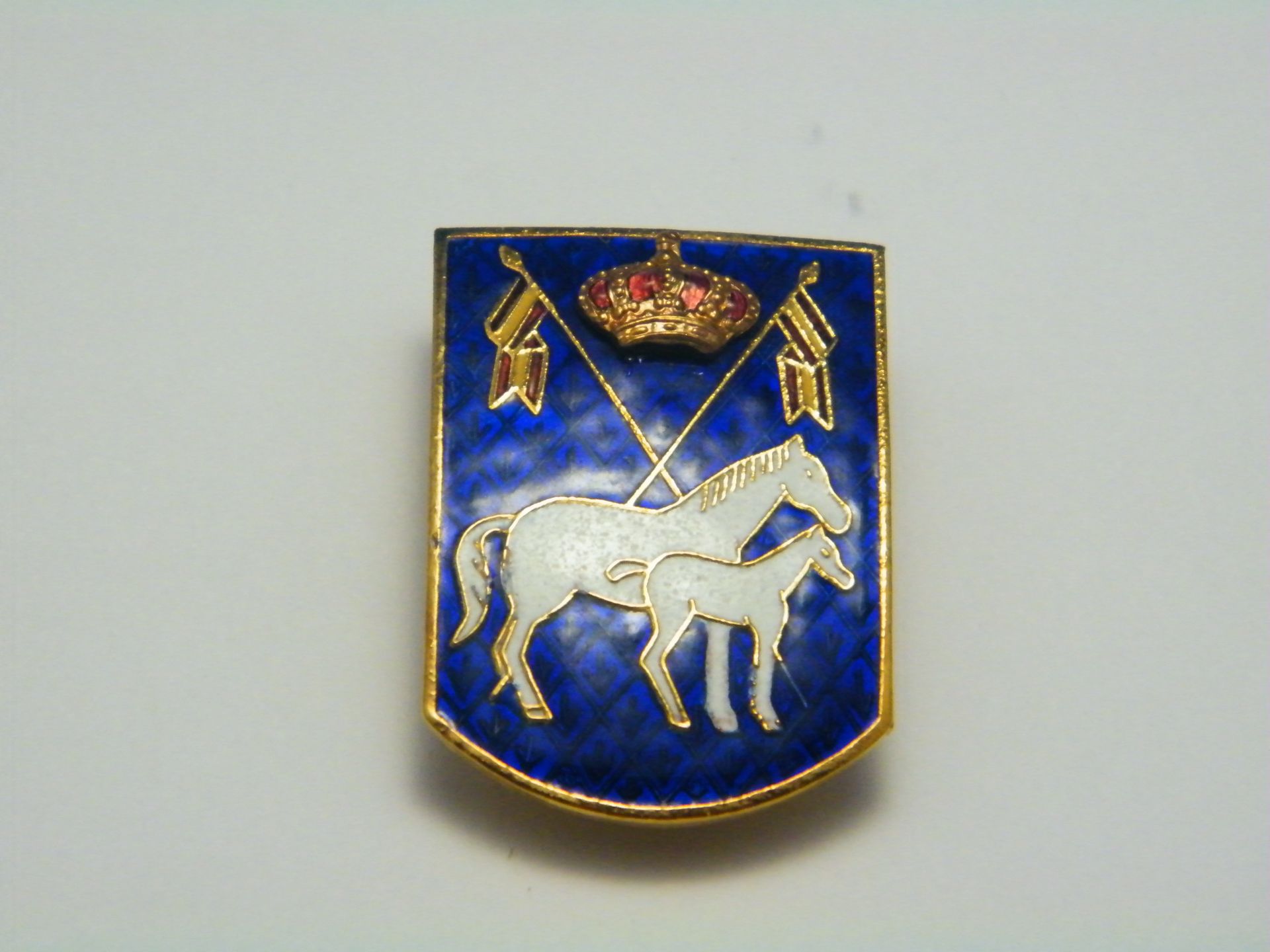 Un emblema azul y dorado con dos caballos.