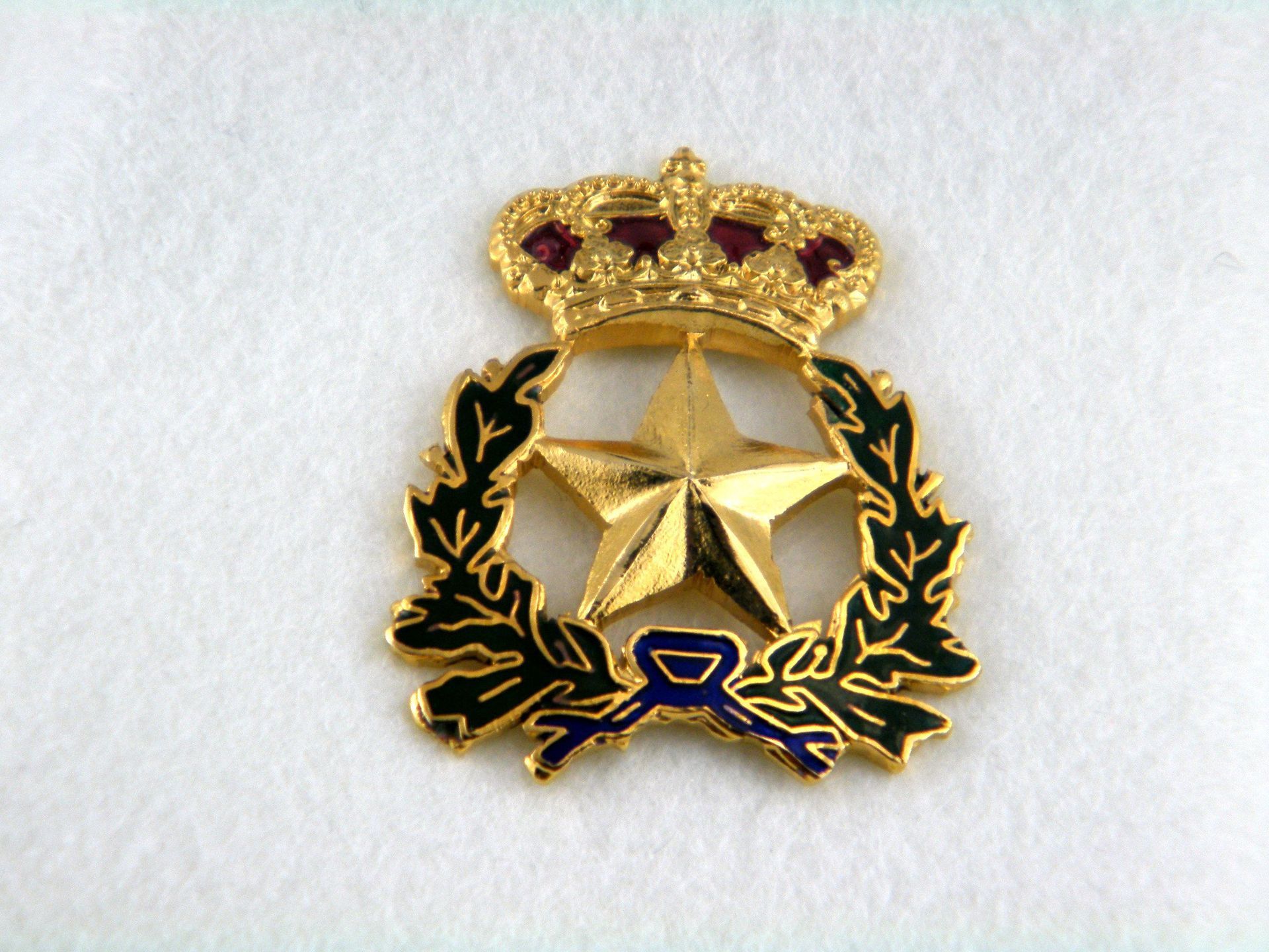 Una estrella dorada con una corona y hojas alrededor.