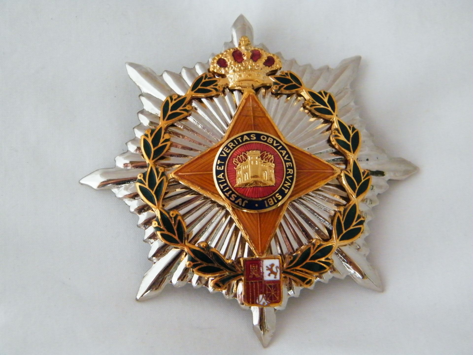 Una insignia de plata y oro con un león.