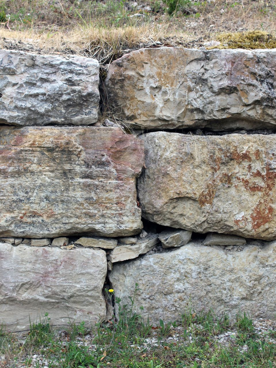 Mur de pierres empilées et patinées, aux couleurs et textures variées. Herbe verte à la base, terre brune au-dessus.