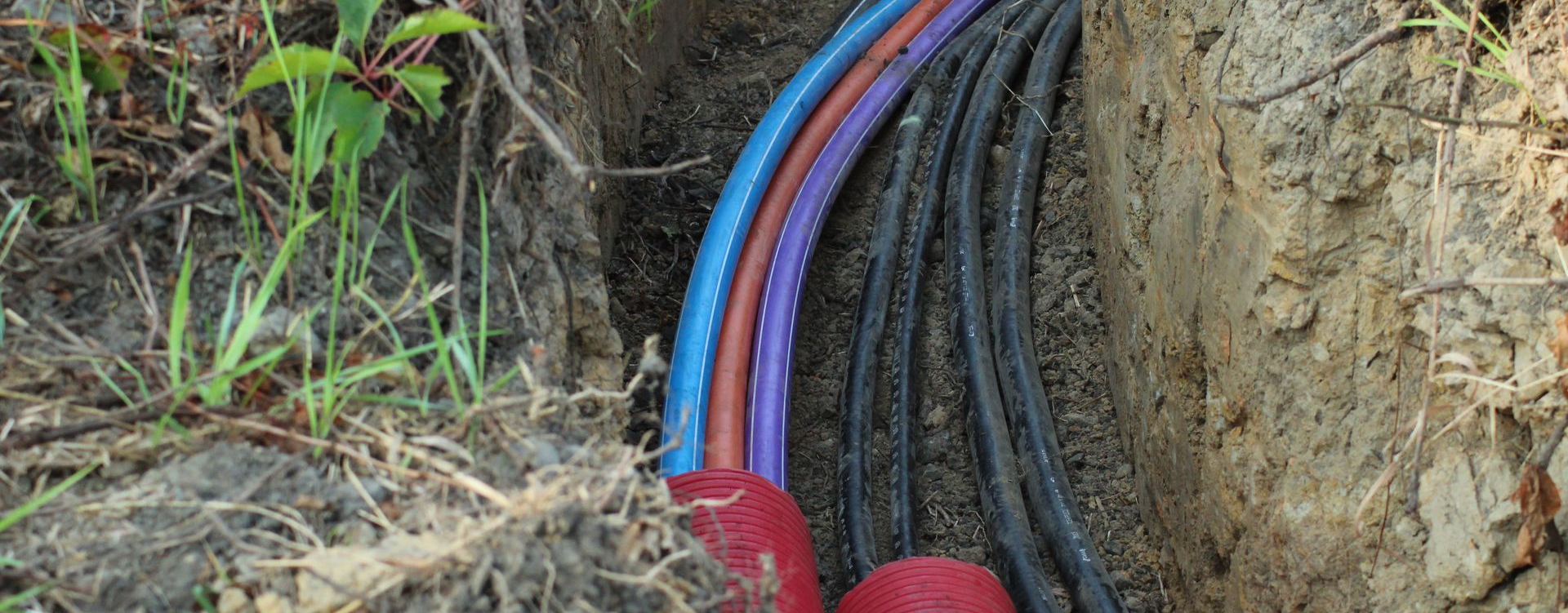 Câbles colorés enfouis dans le sol près de plantes vertes. Des câbles rouges, bleus, violets et noirs sont visibles.