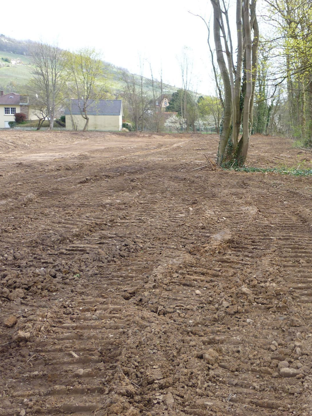 Terrain défriché avec traces de tracteur, arbre et maisons, collines éloignées sous un ciel nuageux.