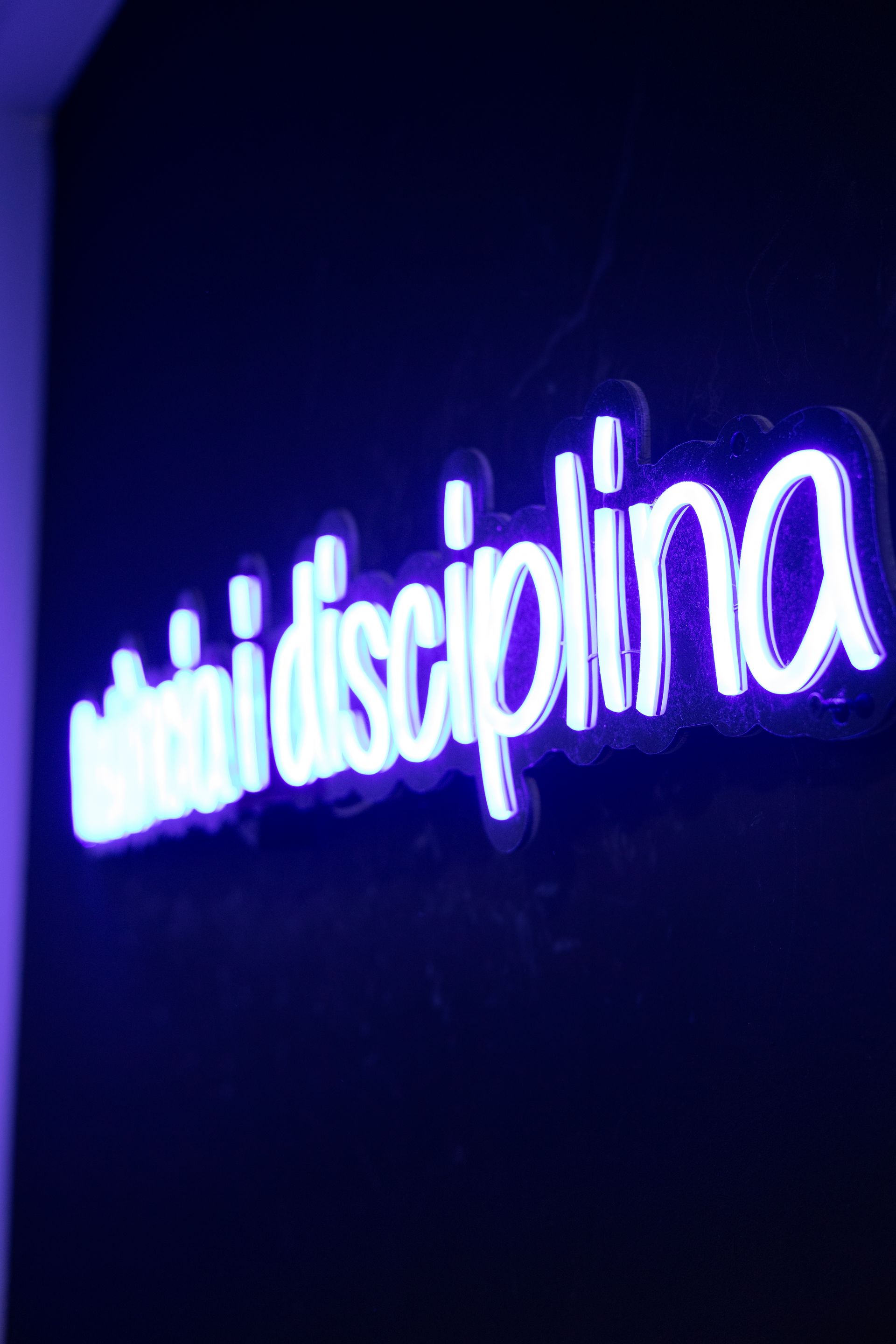 Un letrero de neón que dice disciplina.