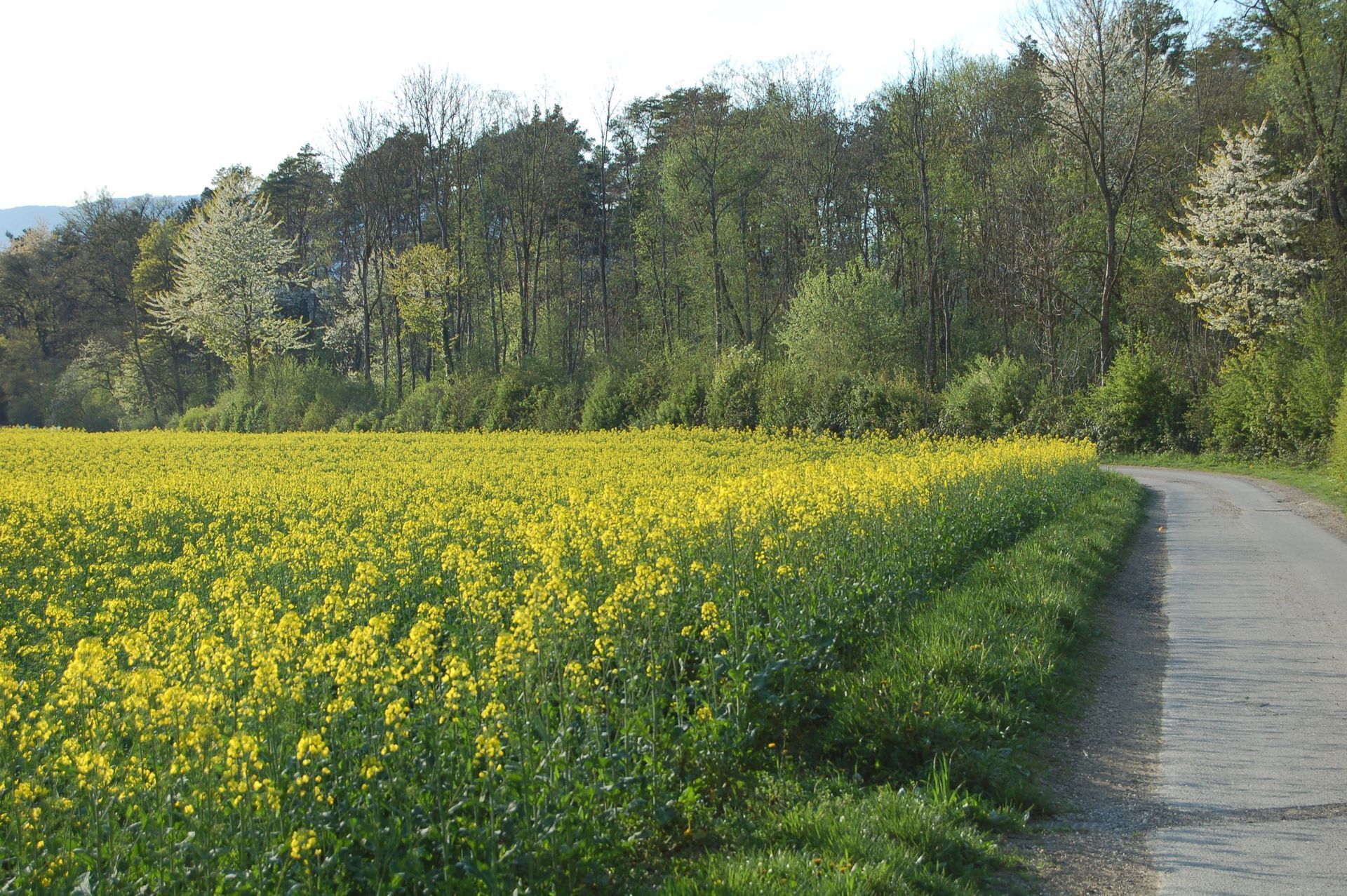 Gemeindeverwaltung Scheuren