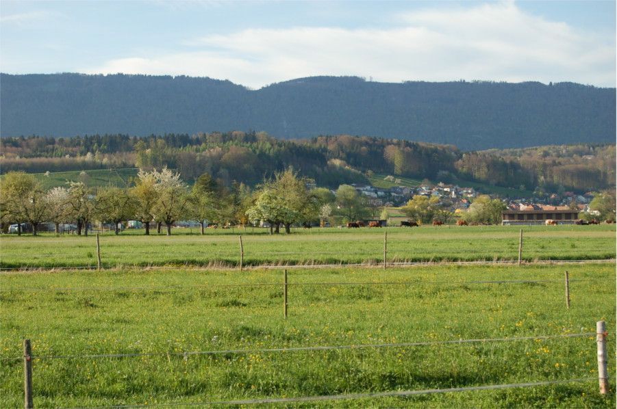 Gemeindeverwaltung Scheuren