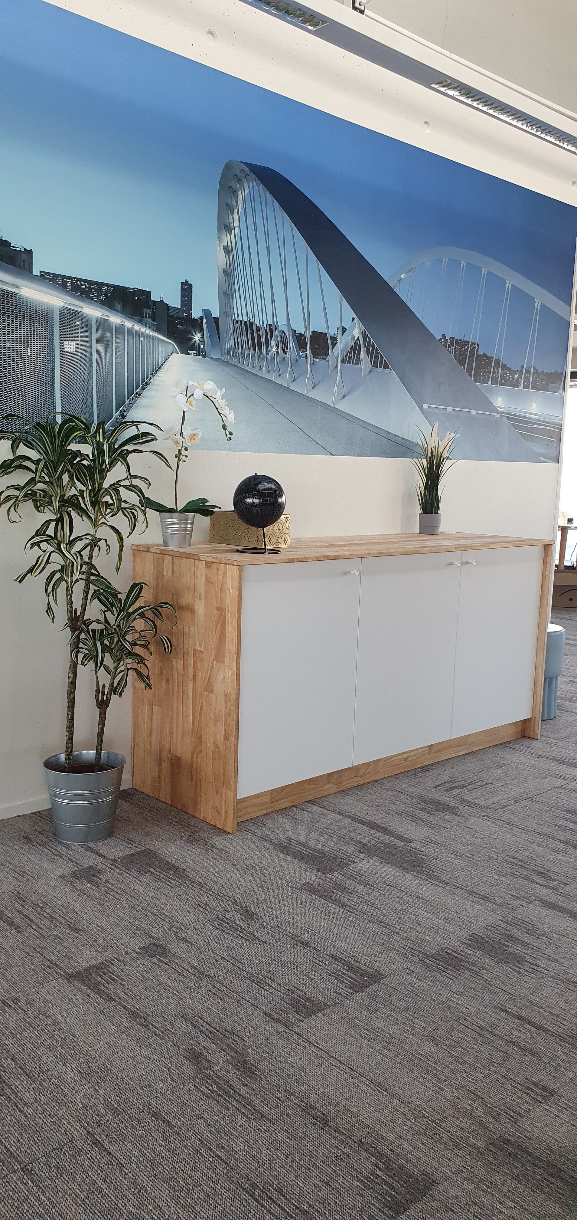 Buffet, plante devant une décoration murale