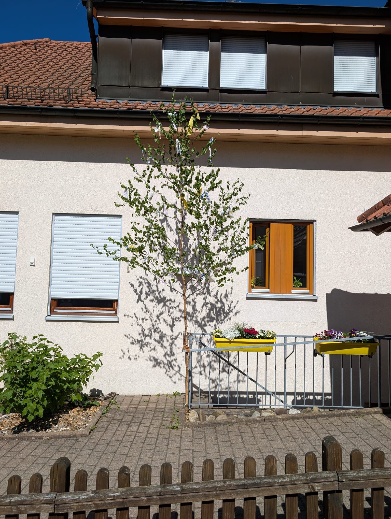 Maibaum vor der Tagespflege