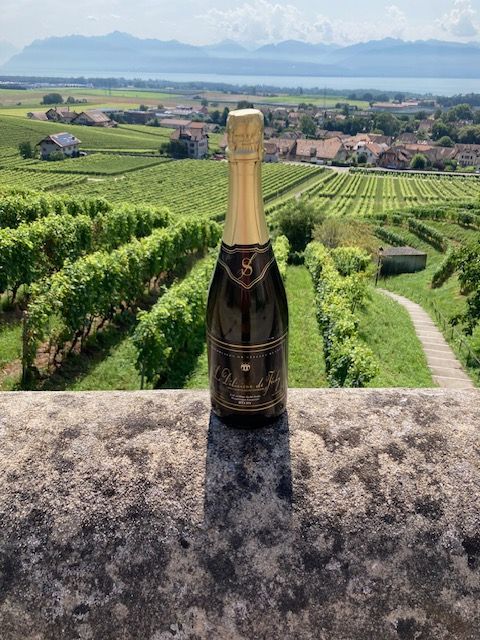 Une bouteille de champagne est posée sur un mur de pierre devant un vignoble.