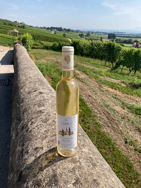 Une bouteille de vin est posée sur un mur de pierre devant un vignoble.