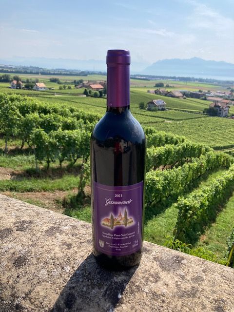 Une bouteille de vin est posée sur un mur de pierre devant un vignoble.