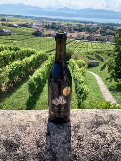 Une bouteille de vin est posée sur un mur de pierre devant un vignoble.