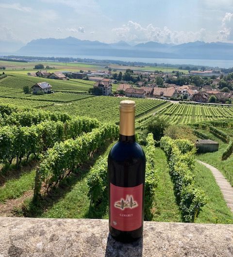 Une bouteille de vin est posée sur un mur de pierre devant un vignoble.