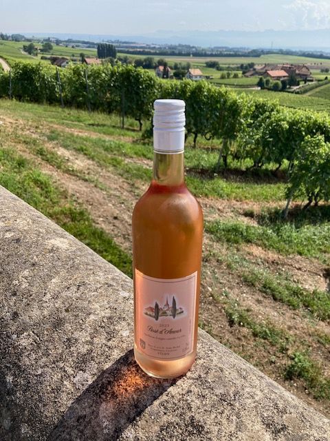 Une bouteille de vin est posée sur un mur de pierre devant un vignoble.