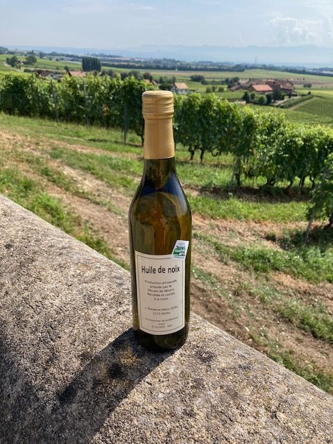 Une bouteille de vin est posée sur un mur de pierre devant un vignoble.