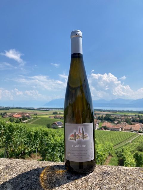 Une bouteille de vin est posée sur un mur de pierre avec vue sur un vignoble en arrière-plan.