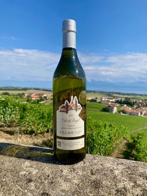 Une bouteille de vin est posée sur un mur de pierre devant un vignoble.