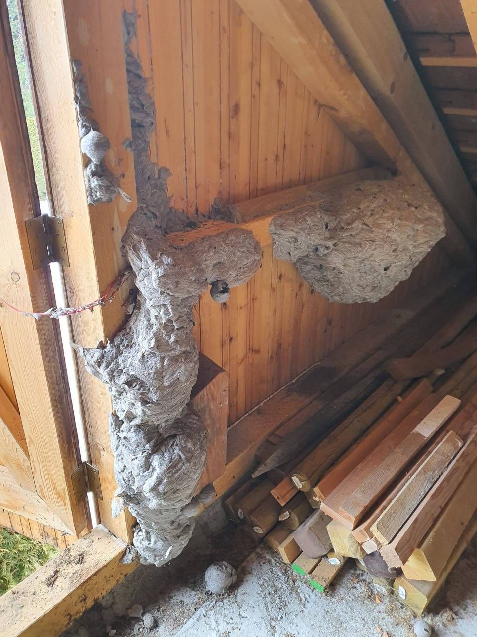 Un gros tas de bois est posé à côté d'un mur en bois.