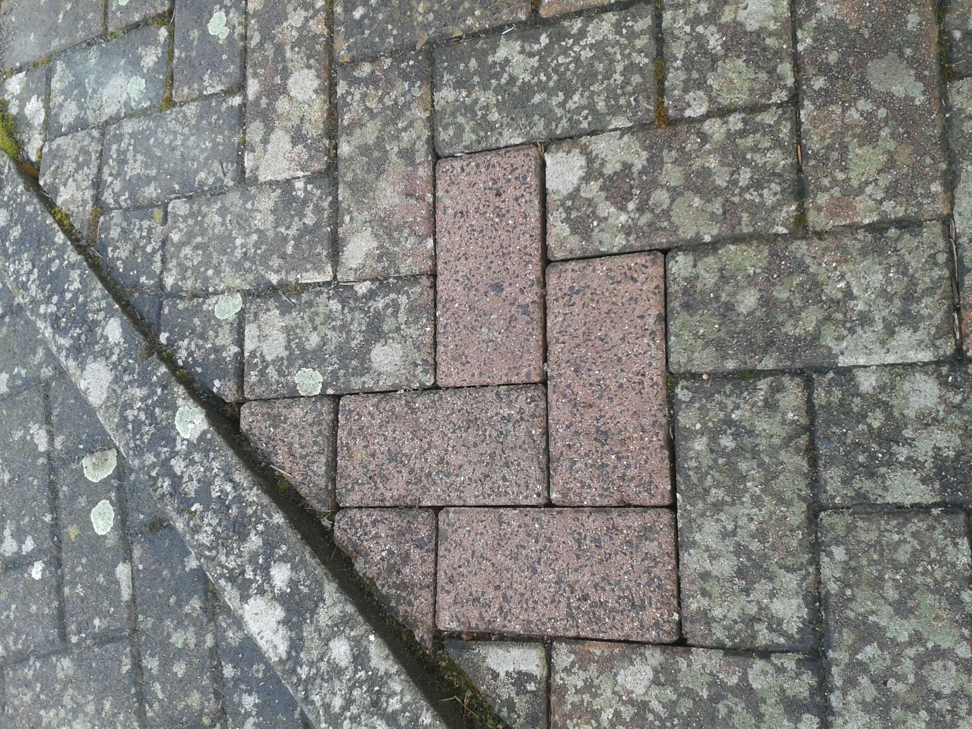 reinigungsservice-passing