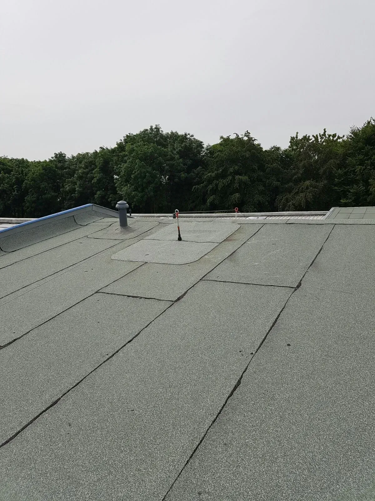 Graues Flachdach mit Lüftungsöffnungen und einer Baumreihe im Hintergrund
